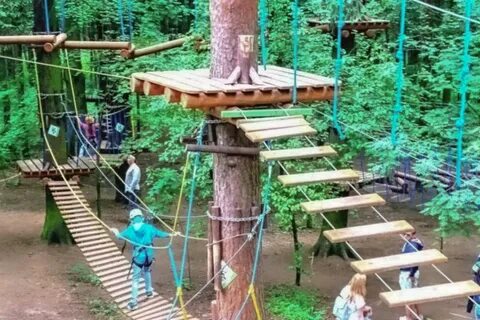 Мещерский парк пандапарк мещерский