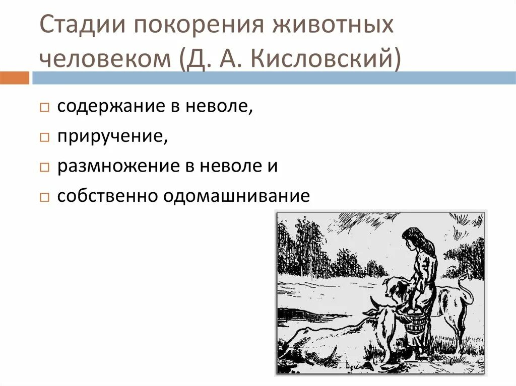 Процесс одомашнивания. Порядок приручения животных. Одомашнивание схема. Одомашнивание растений и животных.