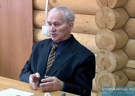 Пчеловодство кашковский лекции