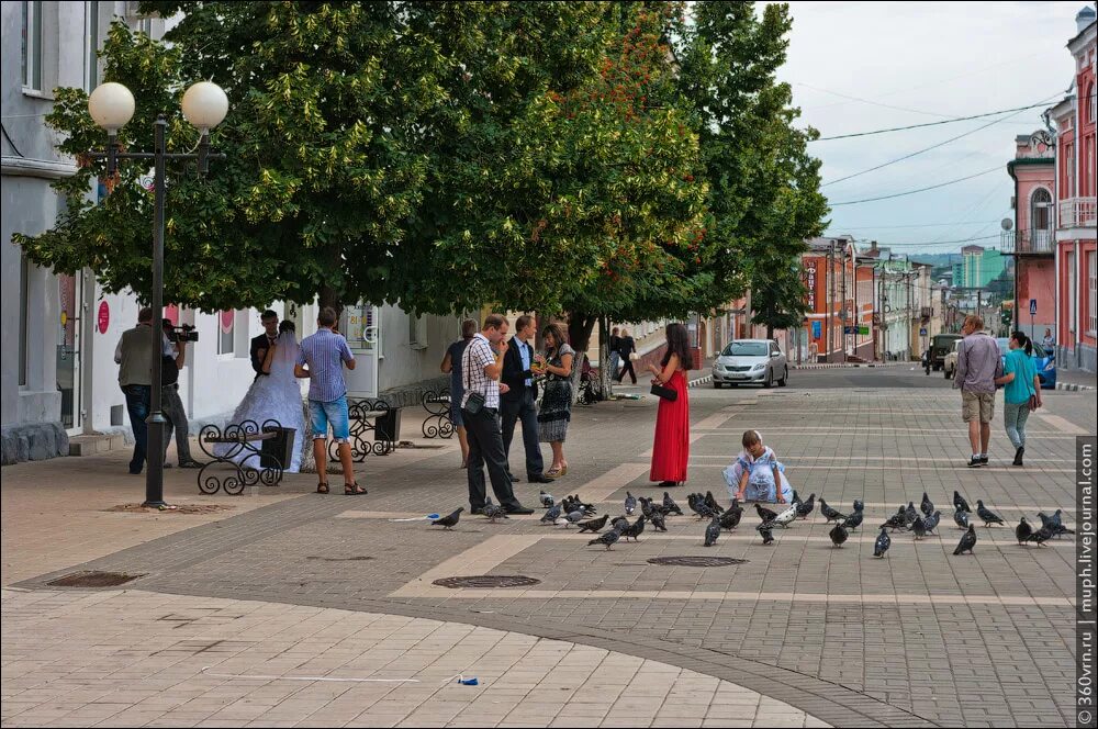 доске почета «трудовая слава липецкой области». елец 2016. елец липецкая область. доска почета города ельца. самый сильный человек в воронеже.
