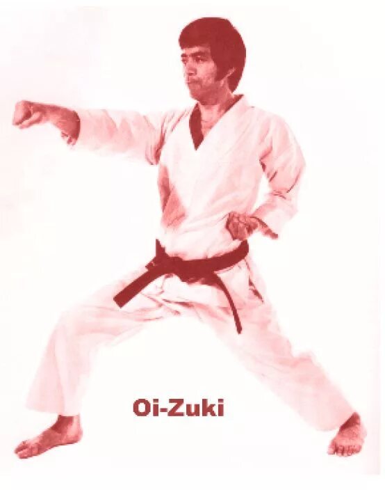 Удар цуки в каратэ. Сейкен чудан цуки. Татэ цуки. Цуки каратэ. Сэйкэн дзуки.