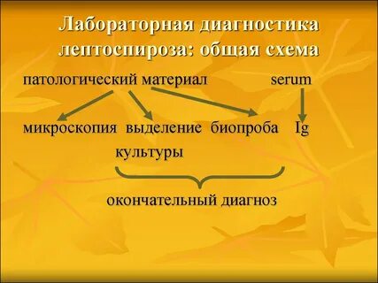 Лептоспироз диагностика