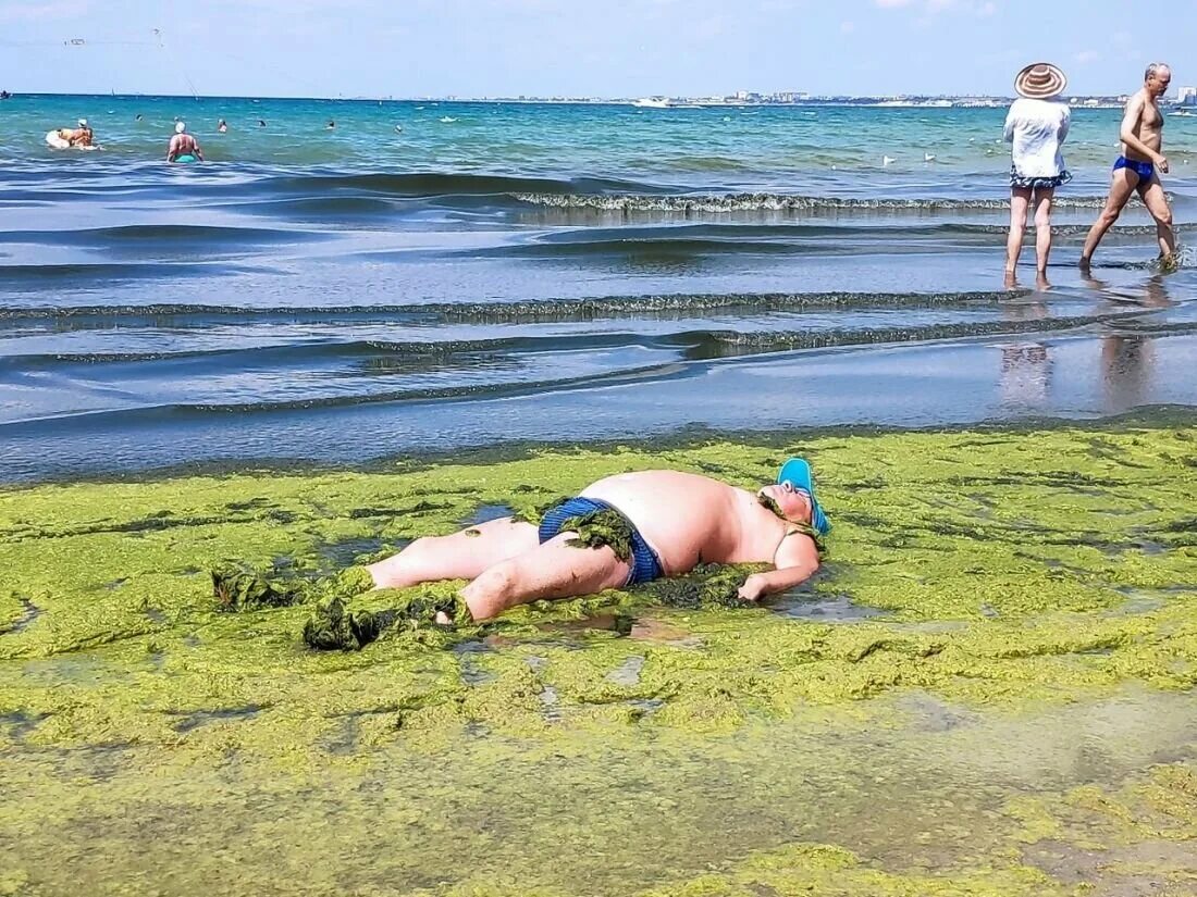 Анапа море цветет. Анапа море камка. Черное море Анапа цветет водоросли. Анапа Витязево море цветет 2021. В анапе есть вода