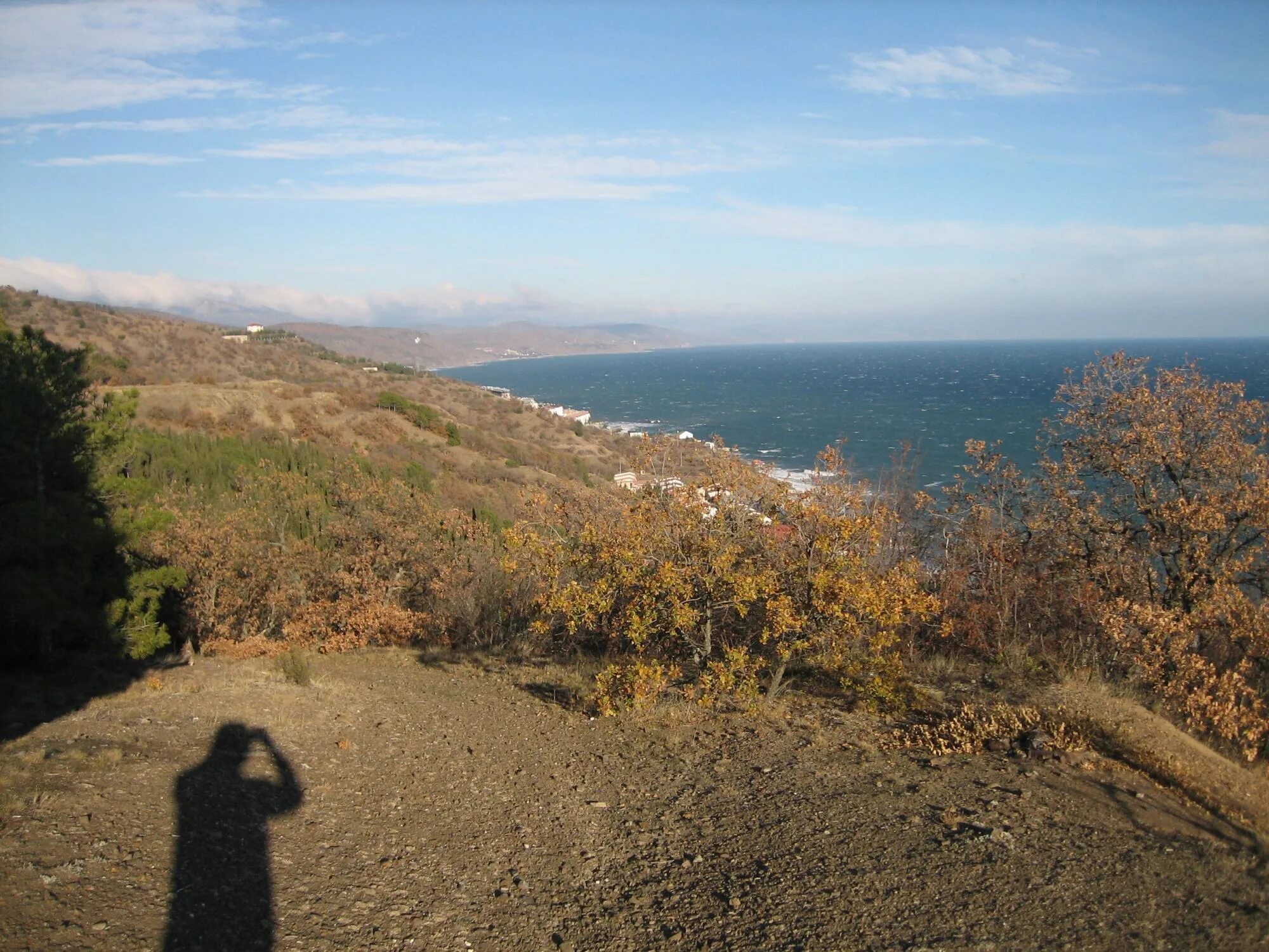 Кипарисное Крым. Алушта гора Кипарисная. Поселок Кипарисное Крым. Кипарисное озеро Крым.