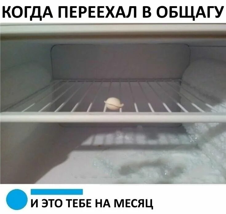 Как живут пельмени в холодильнике. Пустой холодильник. Пельмени в морозилке. Один пельмень в морозилке. Пельмени в холодильнике.