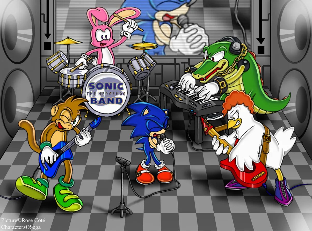 Группа sonic. Рок группа Соника. Арт Соник рок группа. Sonic рокер.