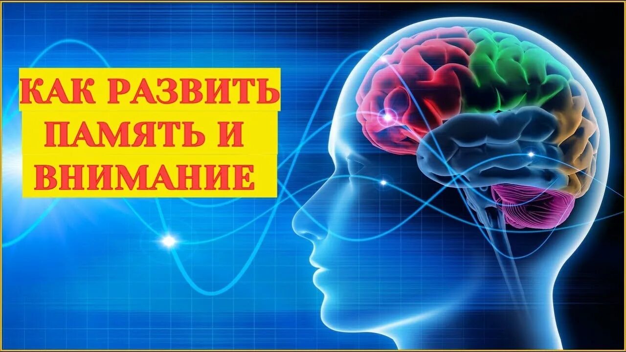 Память и внимание. Улучшить память и внимание. Тренировка мозга и памяти. Улучшение памяти. Необходимо развивать память