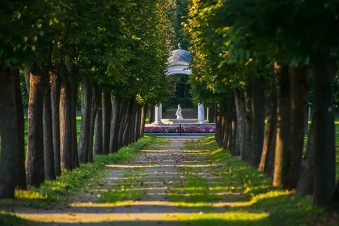 Парк архангельское