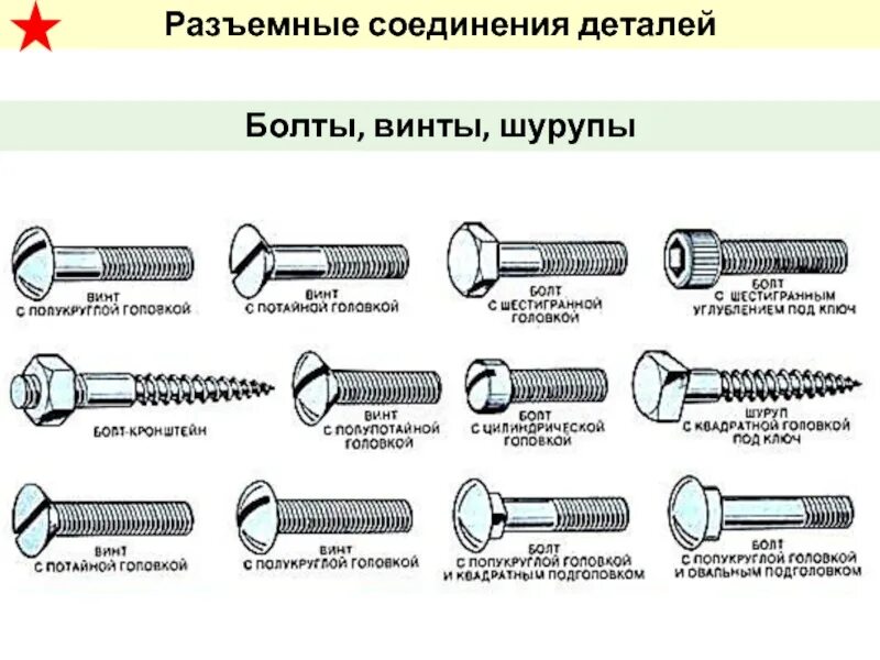 Болт на стеллажи песня. Винт болт шуруп разница. Болт шуруп саморез винт разница. Отличие болта от винта и шурупа. Винт шуруп саморез отличия.