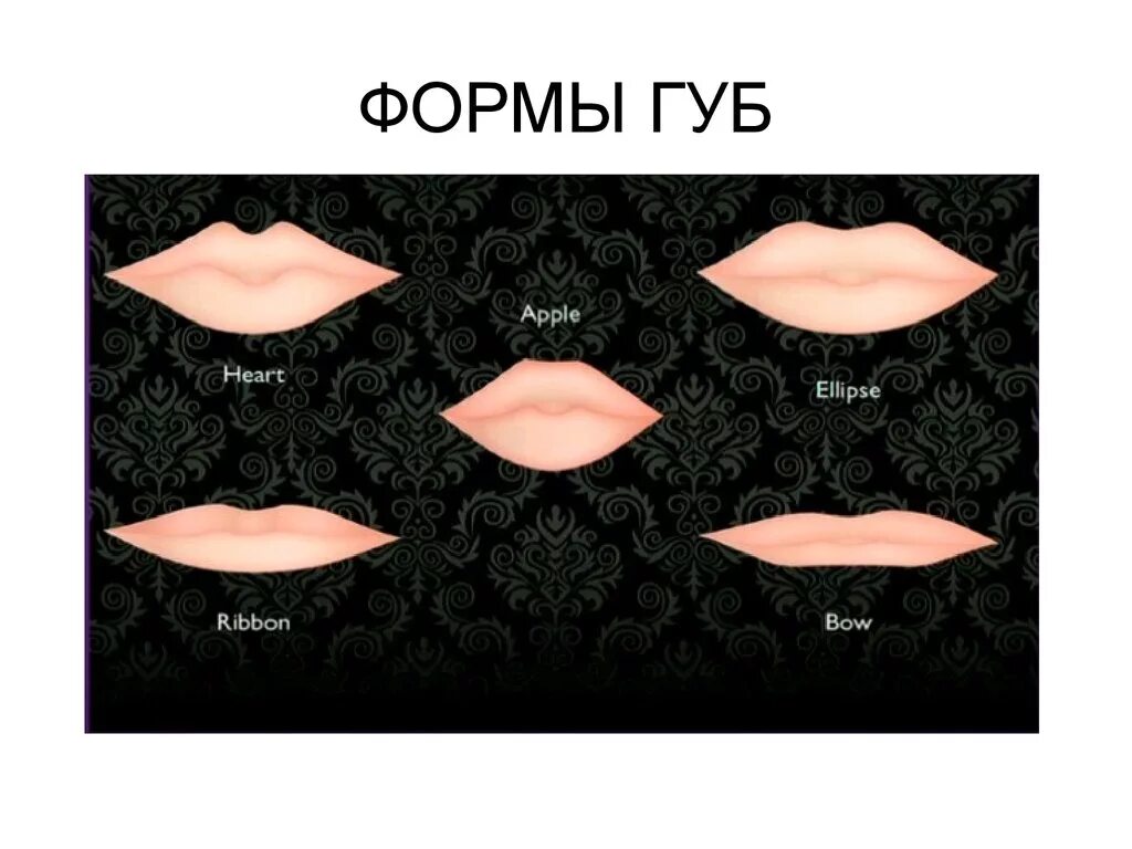 Форма половых губ у женщин персик. Формы губ. Форма губ для увеличения. Разные формы губ. Формы губ названия.