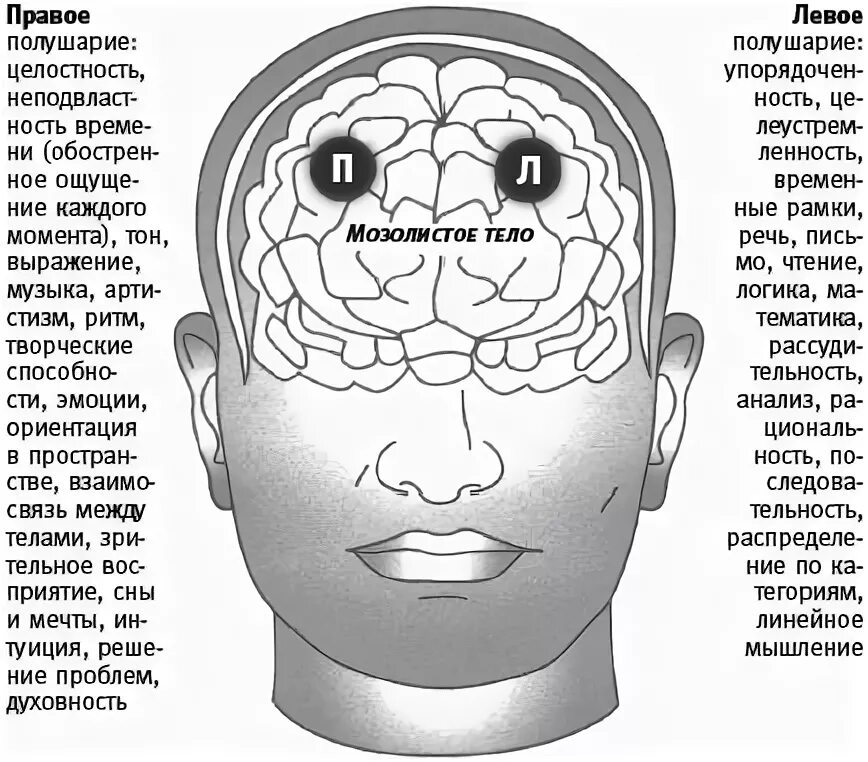 Правом полушарии. Болит левое полушарие головы. Болитлевое пооушарии головы. Мозг и голова левое и правое полушарие. Дискомфорт в голове в левом полушарии.