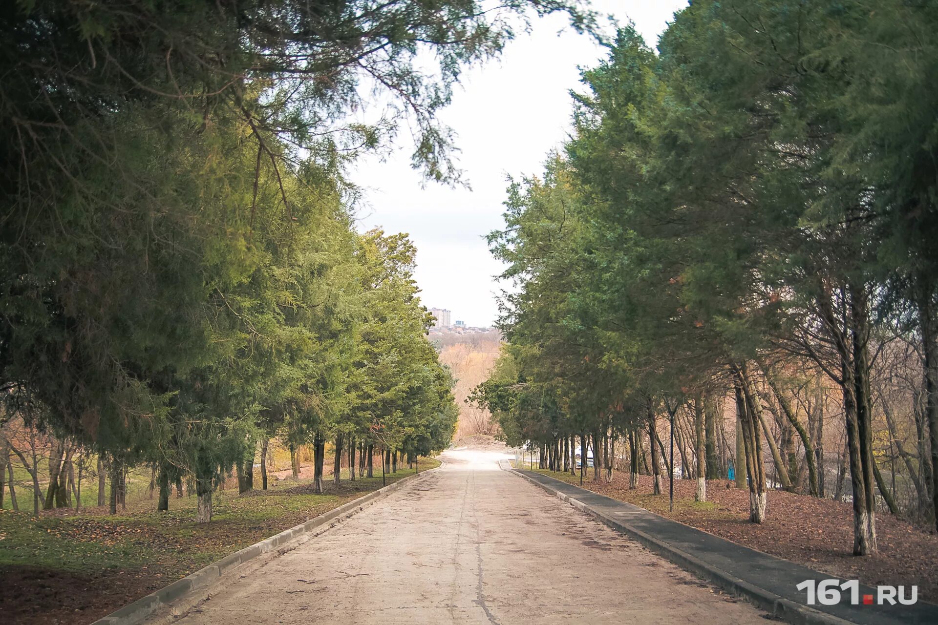 Ботанический сад юфу оранжерея. Ботанический сад юфу ростов. Сад ростов главный. Сад ростов главный. Ростовский ботанический сад юфу.