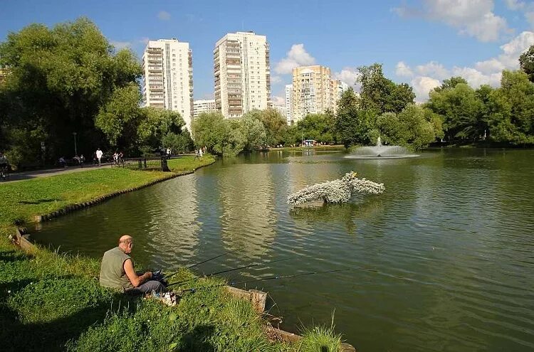 Парк Ясеневские пруды. Парк Воронцовские пруды. Ясенево пруды парк. Москва Ясеневские пруды. Ясенево вода