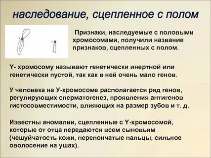 Выявление сцепленности признака с полом у человека