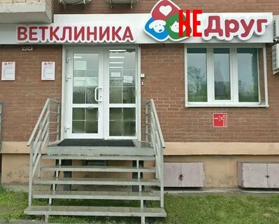Верный друг владивосток