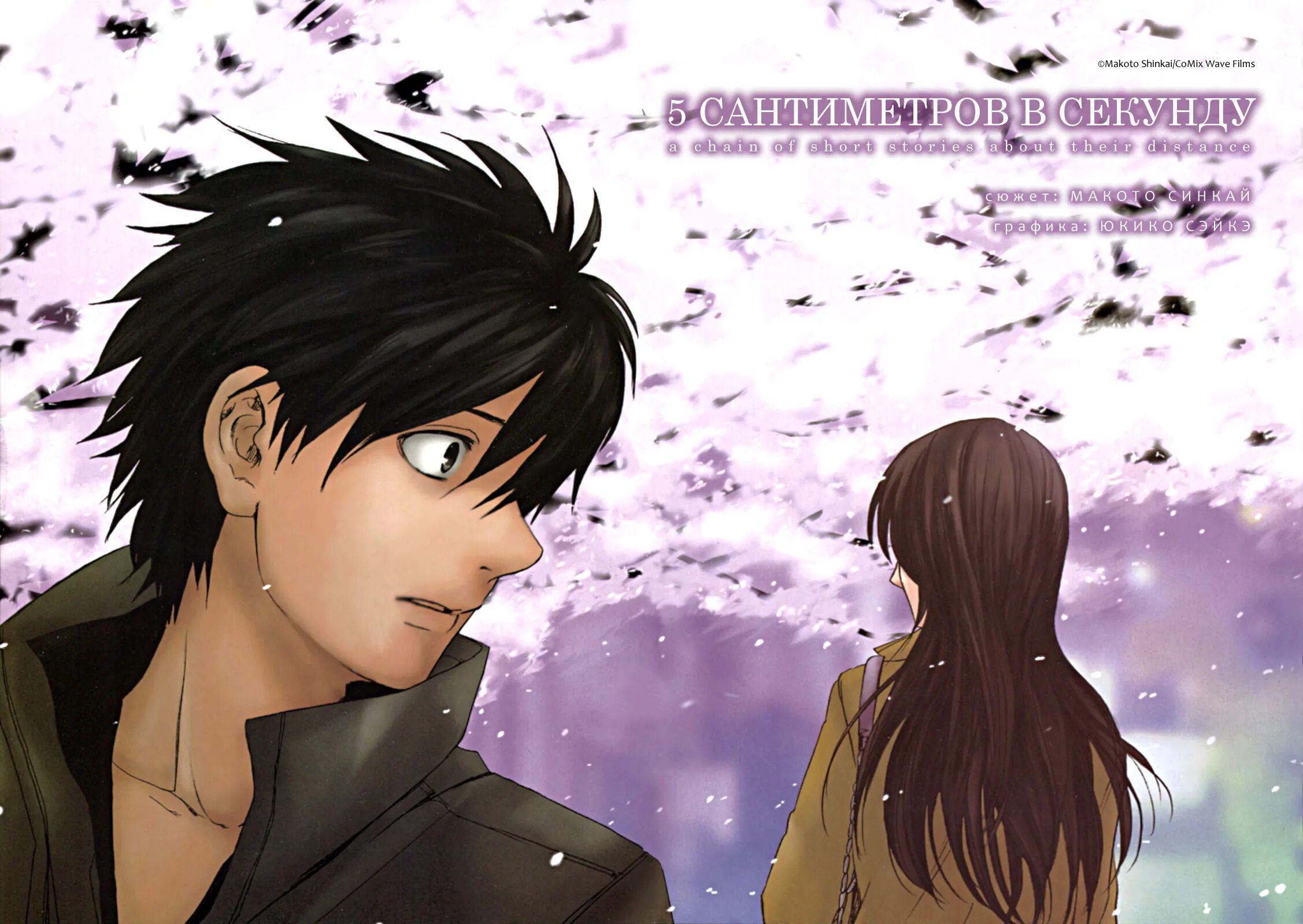 Пять сантиметров в секунду аниме. Событий в секунду. Событий в секунду. Событий в секунду. Макото синкай 5 сантиметров в секунду.
