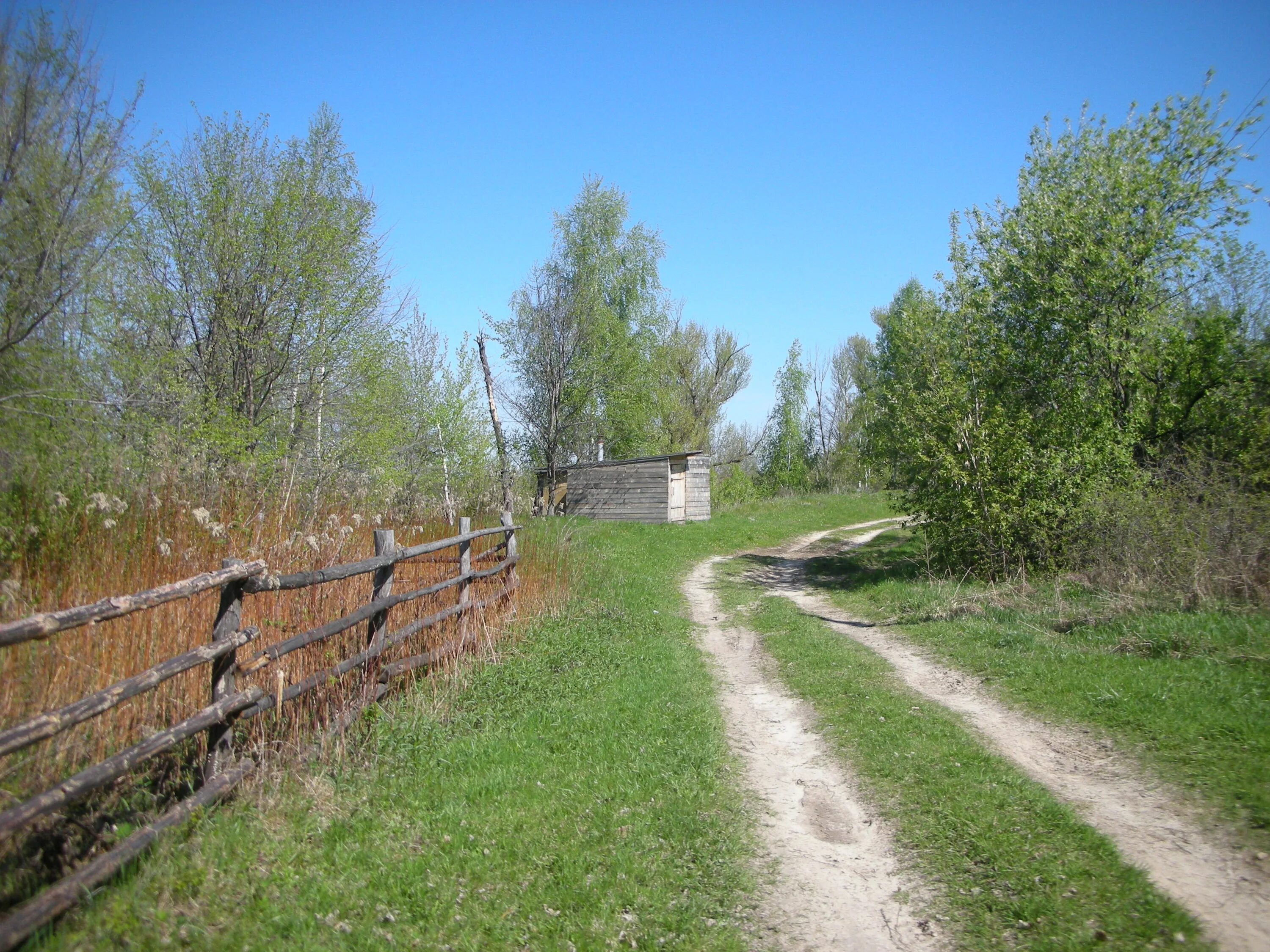 погода в нижнем липовке сосновоборском районе. шугурово пензенская область. деревня индерка пензенская область. липовка деревня нейский район. село липовка пензенская область.
