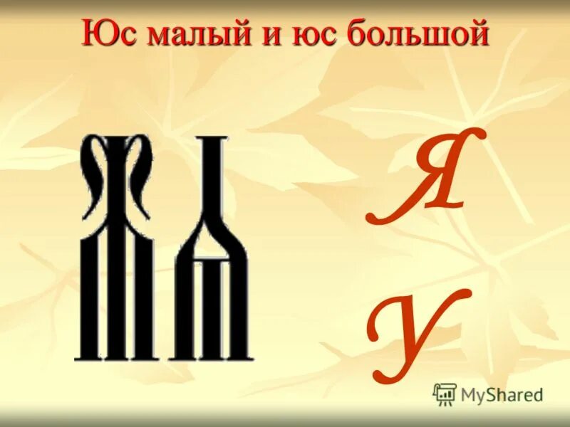 Старославянская буква юс малый. Юс малый и юс большой. Старославянская буква юс малый. Буквы юс малый и юс большой. Юс малый в старославянском языке.