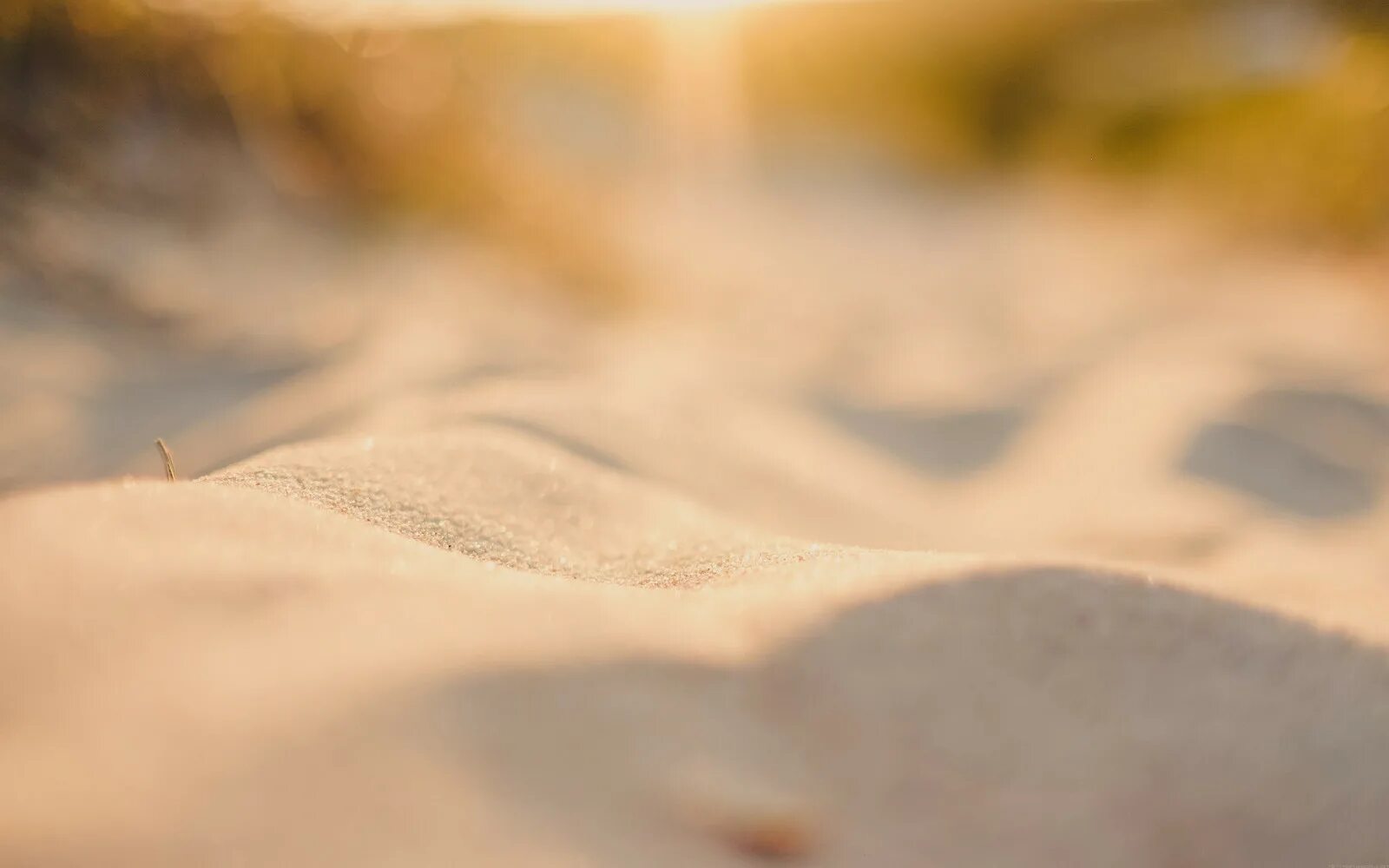 Песок текстура. Бежевые обои. Песок макро. Песок Макросъемка. Размытая земля