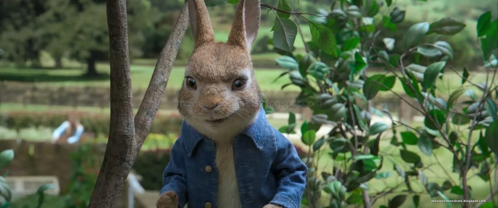 Rabbit movie. Peter Rabbit (2018).
