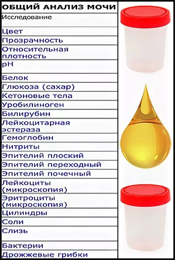 Моча у мужчин. Показатели мочи при цистите у женщин. Моча при цистите цвет. Моча при цистите у женщин цвет. Анализ мочи цвет.