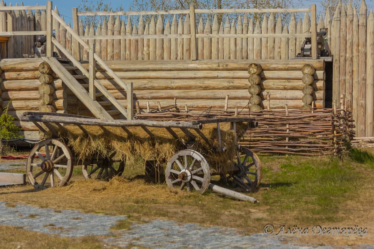 телега во дворе. телега с бочкой. телега для зерна. клумба из телеги. телега с цветами.