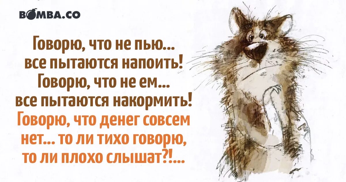 а давайте пить чай сказали хозяева. анька шутки. я вообще не пью. приколы про алкоголь. говорю что не пью все пытаются.