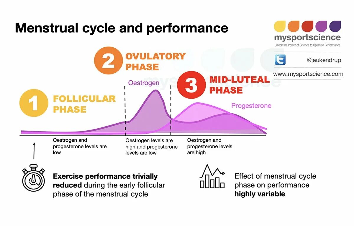 Почему уменьшается цикл. Менструальный цикл. Menstrual Cycle. Снижение веса и цикл месячных. Диета для менструационного цикла.
