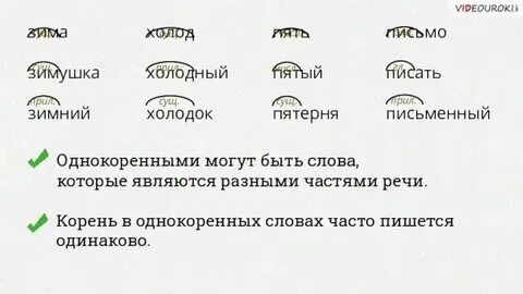 Лев левша левый налево однокоренные слова