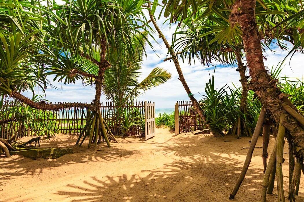 Paradise хиккадува