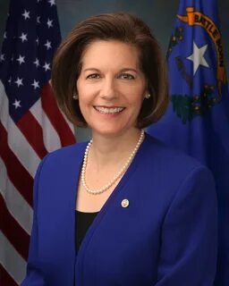 Дам в сша