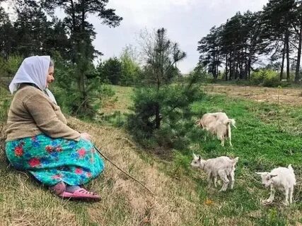 Пасет козу
