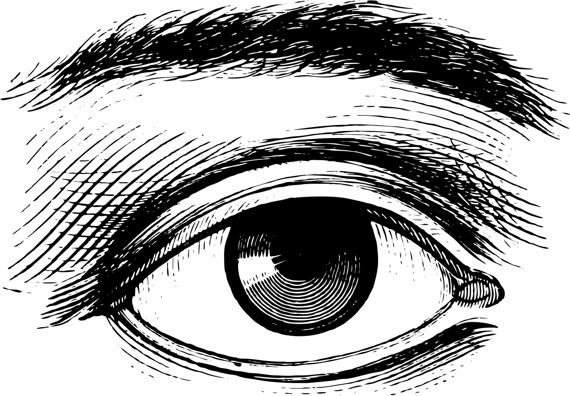 Черно белый рисунок глаза. Глаз Графика. Глаз черно белый. Глаза рисунок. Зрачок карандашом.