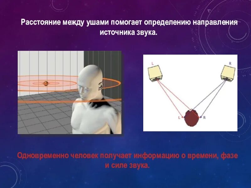 Помогает определить направление. Расстояние до источника звука. Определение направления источника звука. Источник звука человека. Какие анализаторы помогают определить источник звука.