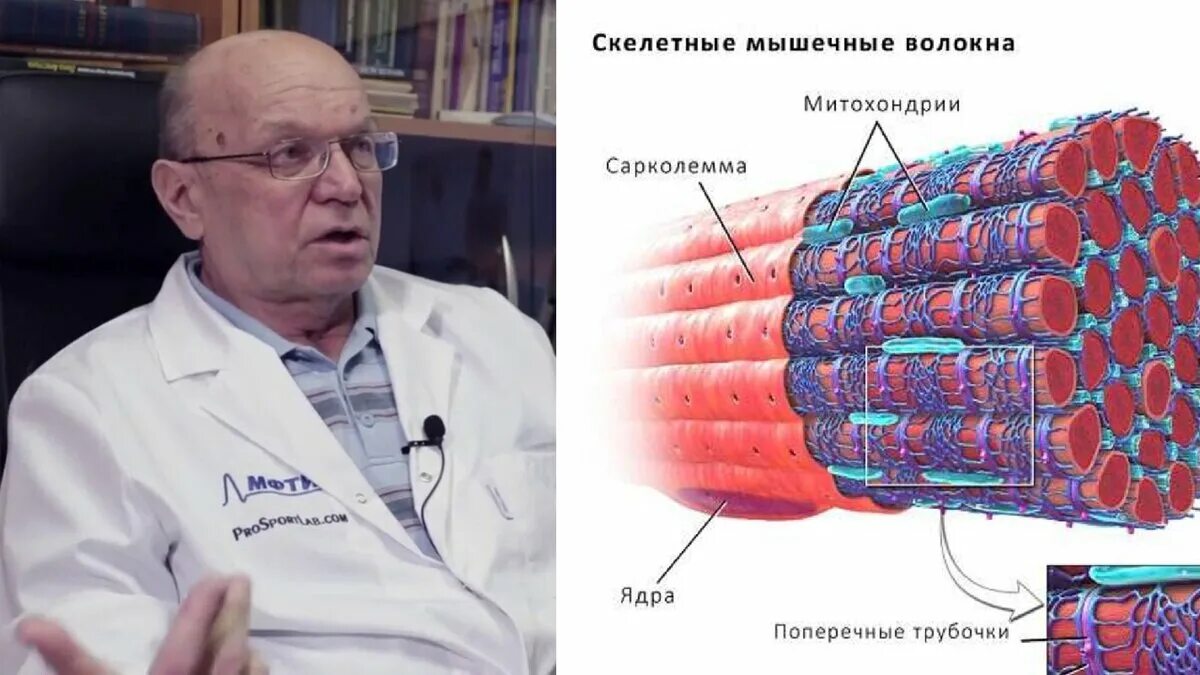 Силуянов профессор