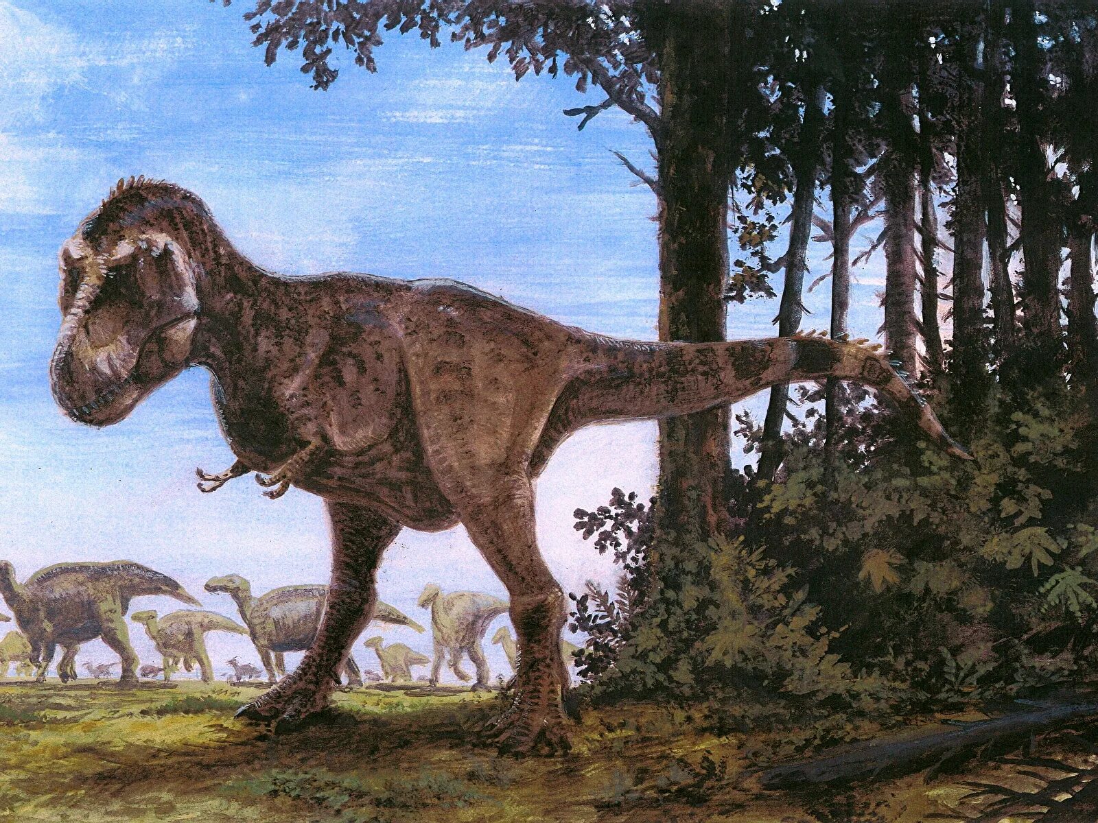 разные древние животные. разные древние животные. зденек буриан тираннозавр. разные древние животные. разные древние животные.