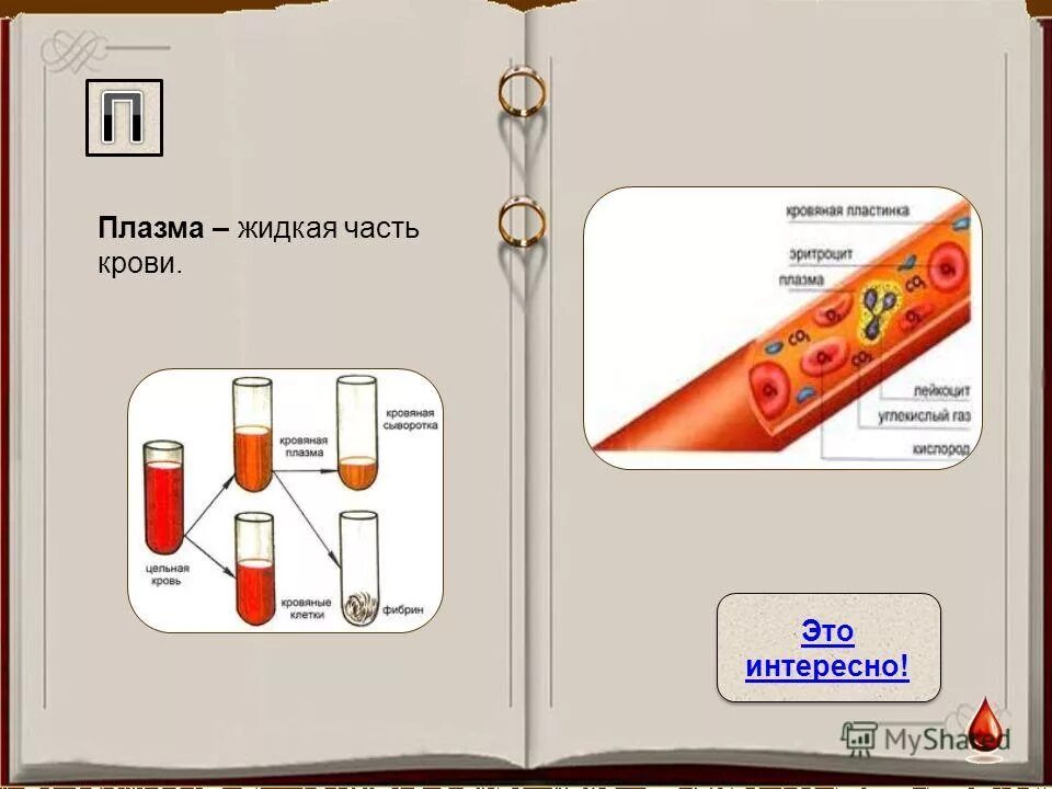 Кровь жидкая часть таблица. Жидкая часть плазмы крови. Жидкая плазма. Плазма это жидкая часть. Кровяную плазму жидкую часть крови называют.