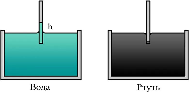 Ртуть будет плавать в воде. Капиллярный эффект. Капиллярный эффект воды. Капиллярный эффект воды и ртути. Ртуть и капиллярная трубка.