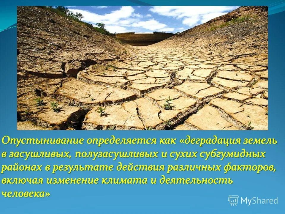 Опустынивание сахель. Мали сахель. Опустынивание стран африки. Опустынивание стран африки. Полупустыня сахель.