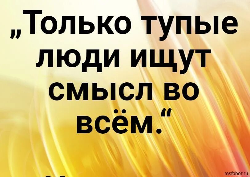 Только тупые люди ищут смысл во всем. Только тупые ищет смысл во всём. Только глупые люди ищут. Только тупые люди ищут смысл во всём Сократ. Канал в поисках смысла