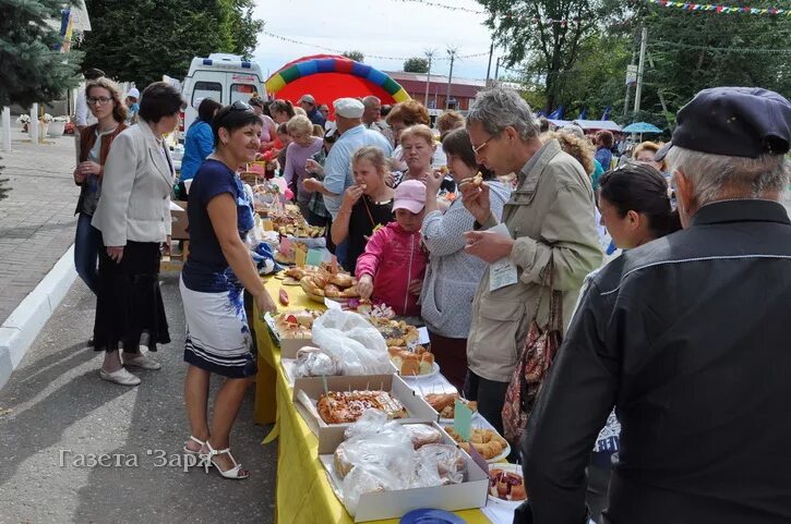 Калуга медынь карта. Медынь подслушано. Погода медынь калужской на неделю. Фото медынь калужская область. День города медынь.