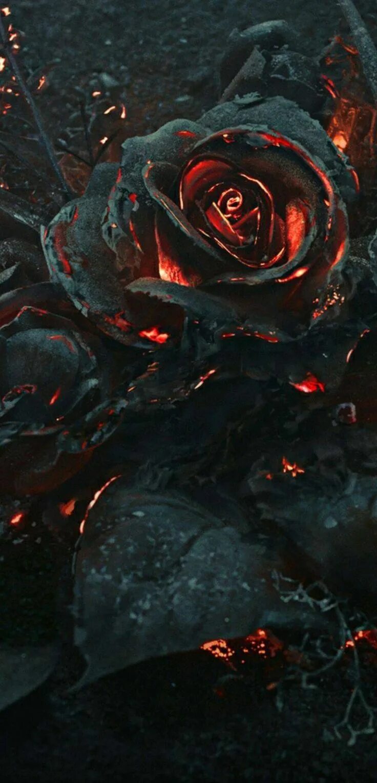 The dark flower. The dark flower