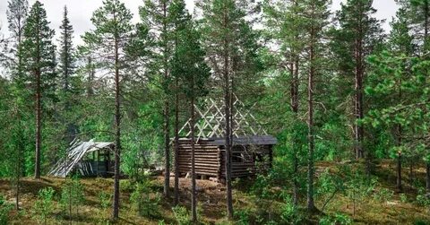 Лови лес