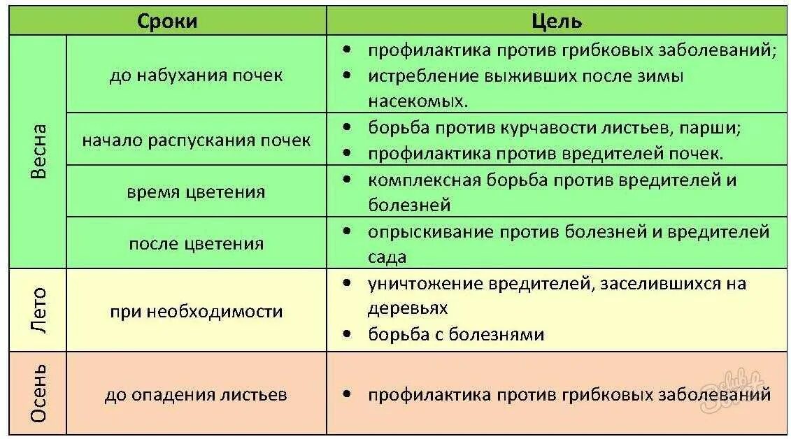 Когда можно обрабатывать яблони от вредителей