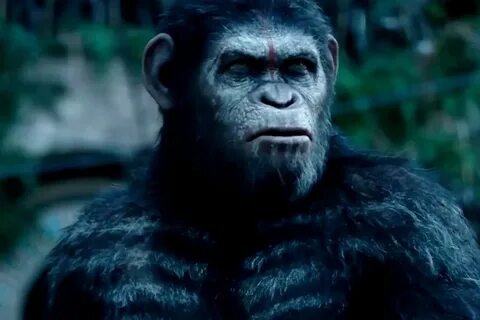 Ape planet watch