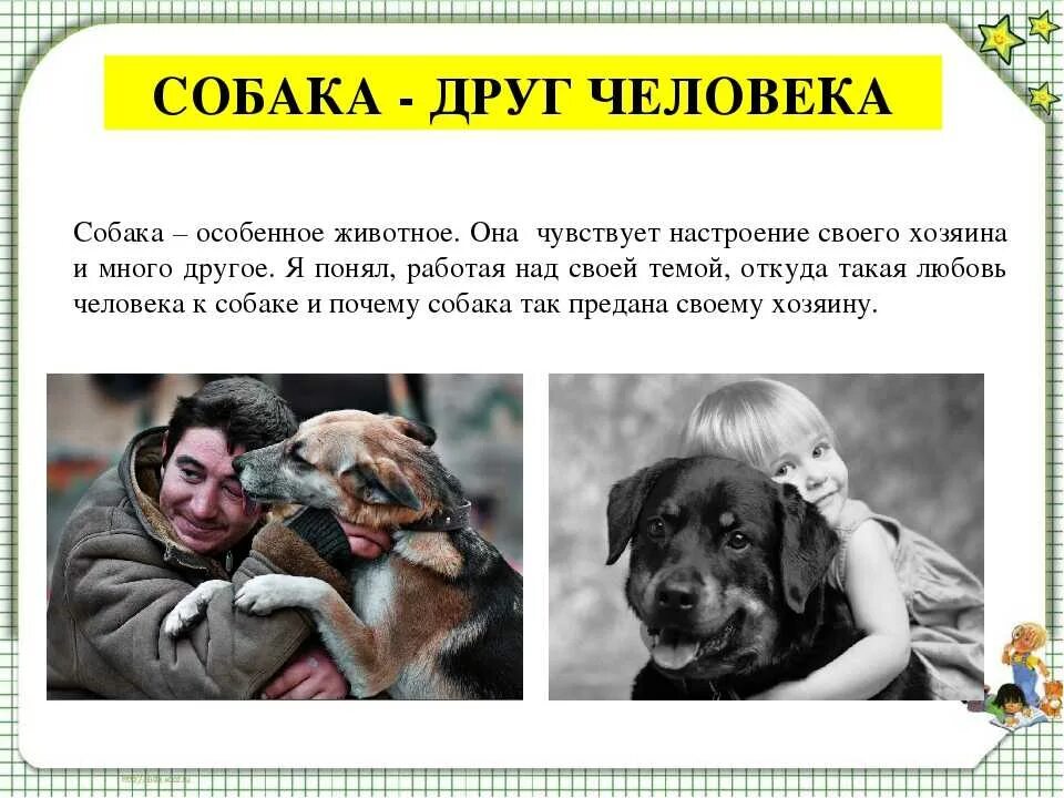 Собака вывела человека в люди. Собака друг человека рассуждение. Собаки лучшие друзья человека. Собака друг человека сочинение. Рассказ собака друг человека.