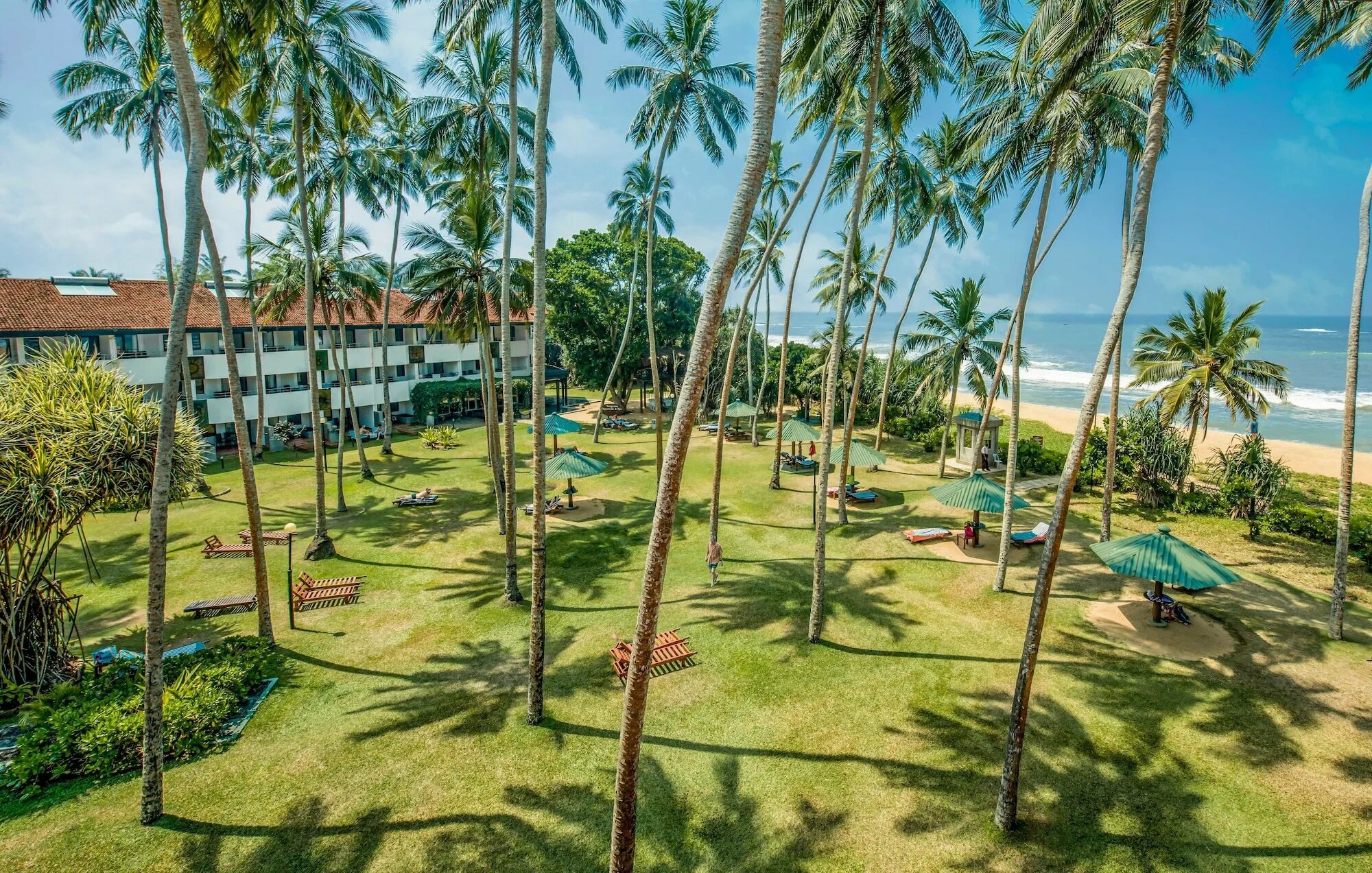 Tangerine beach 4. Tangerine beach hotel 4 шри ланка. Отель tangerine beach hotel. Tangerine beach hotel 4* (калутара). Tangerine beach шри ланка.