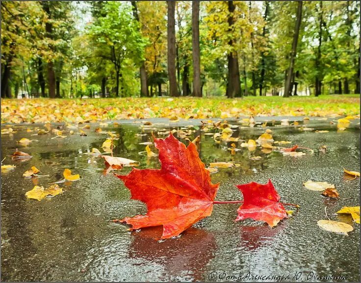 It is raining in autumn