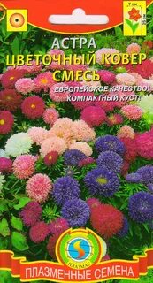 Семена астры
