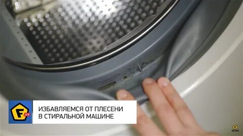 Плесень на резинке стиральной